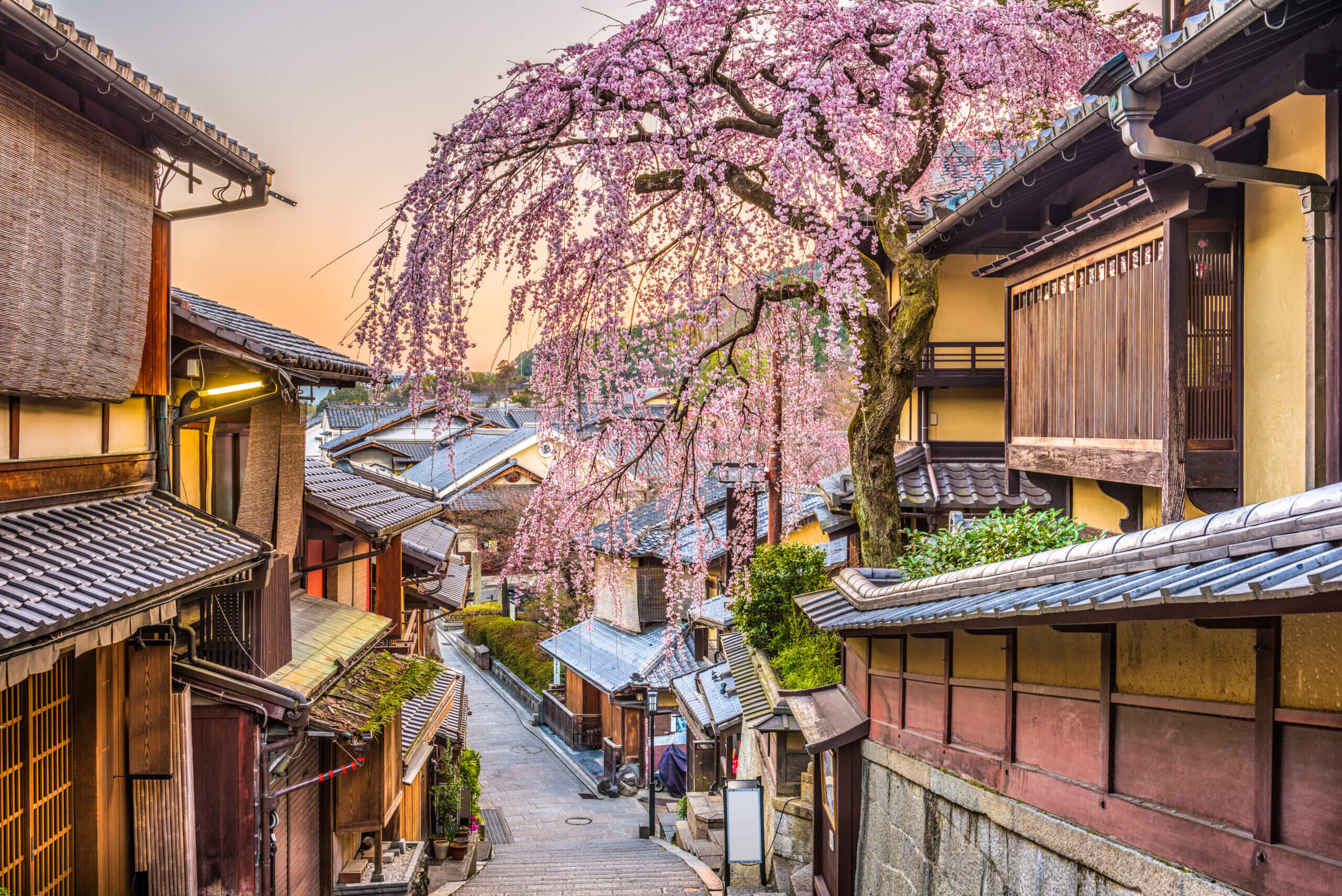 Japan like nobody’s watching