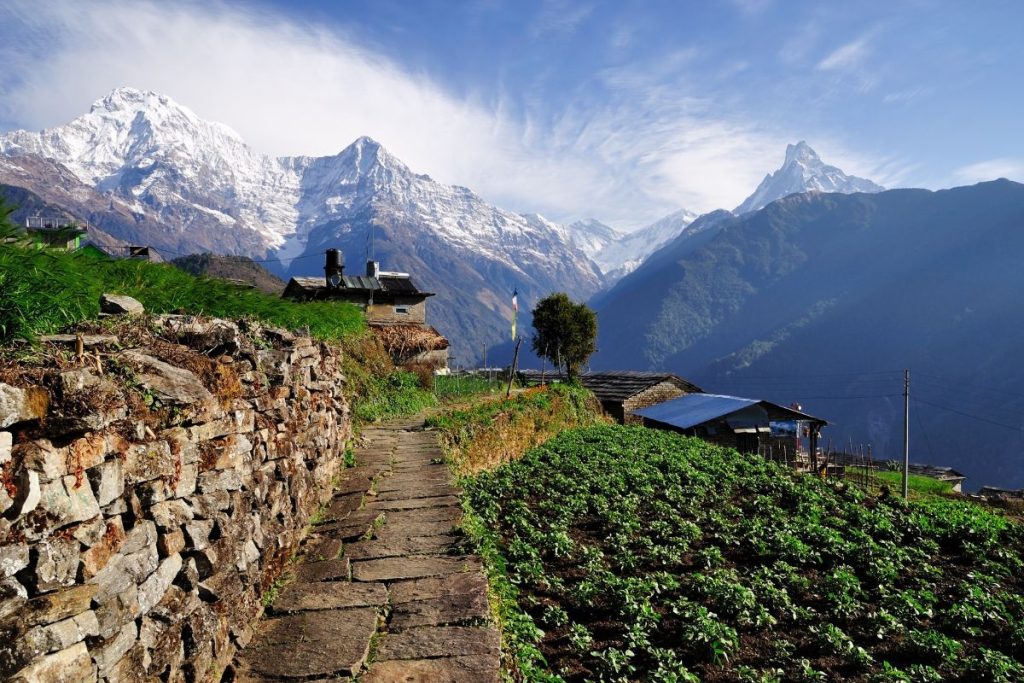 Walk in the Indian Himalayas