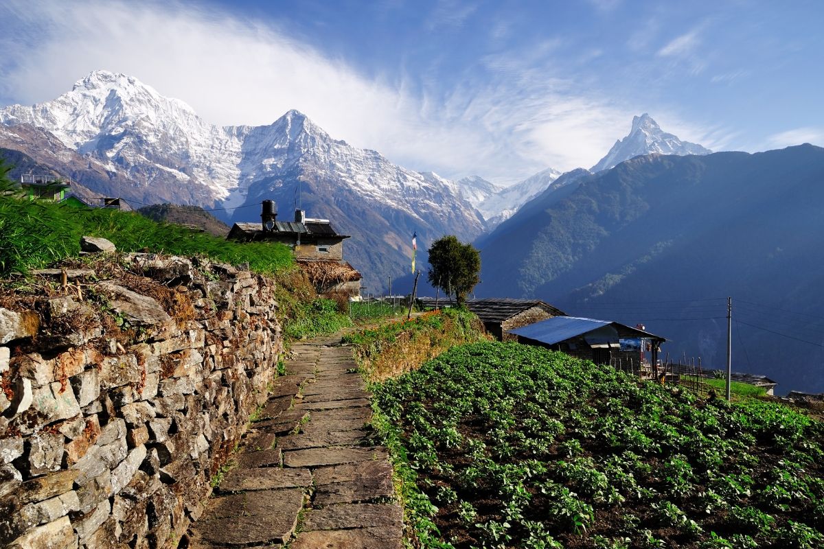 Walk in the Indian Himalayas