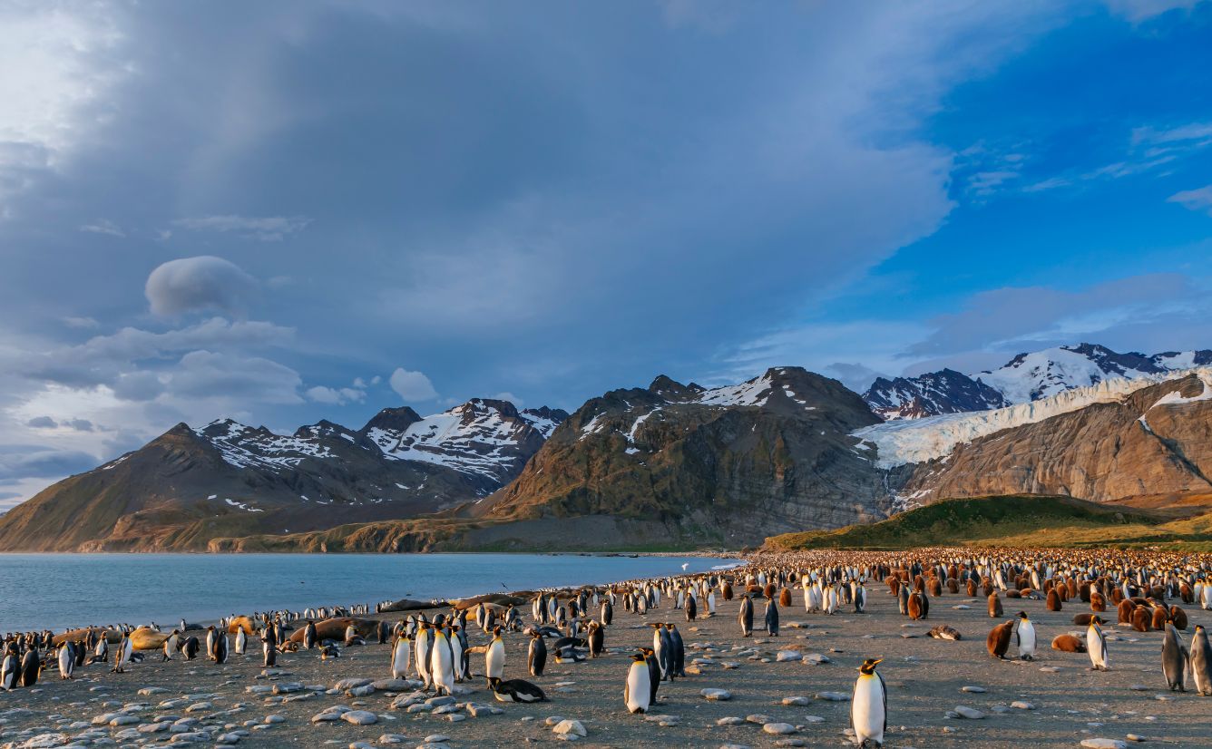 South Georgia