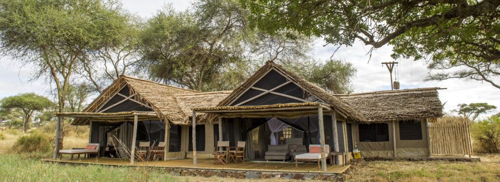 A thatched safari tent with an open deck and lounge seating, set beneath acacia trees on open grassland.