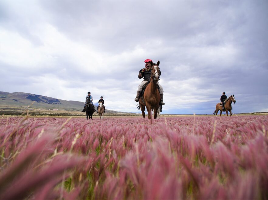 Horse riding, Torres Del Paine, Chile