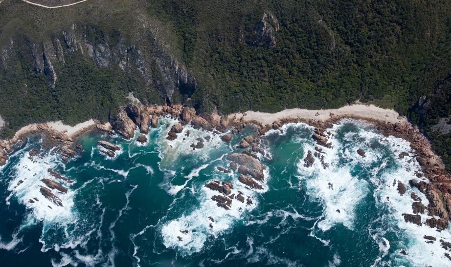 Drive the Garden Route: Kariega Game Reserve to Cape Town