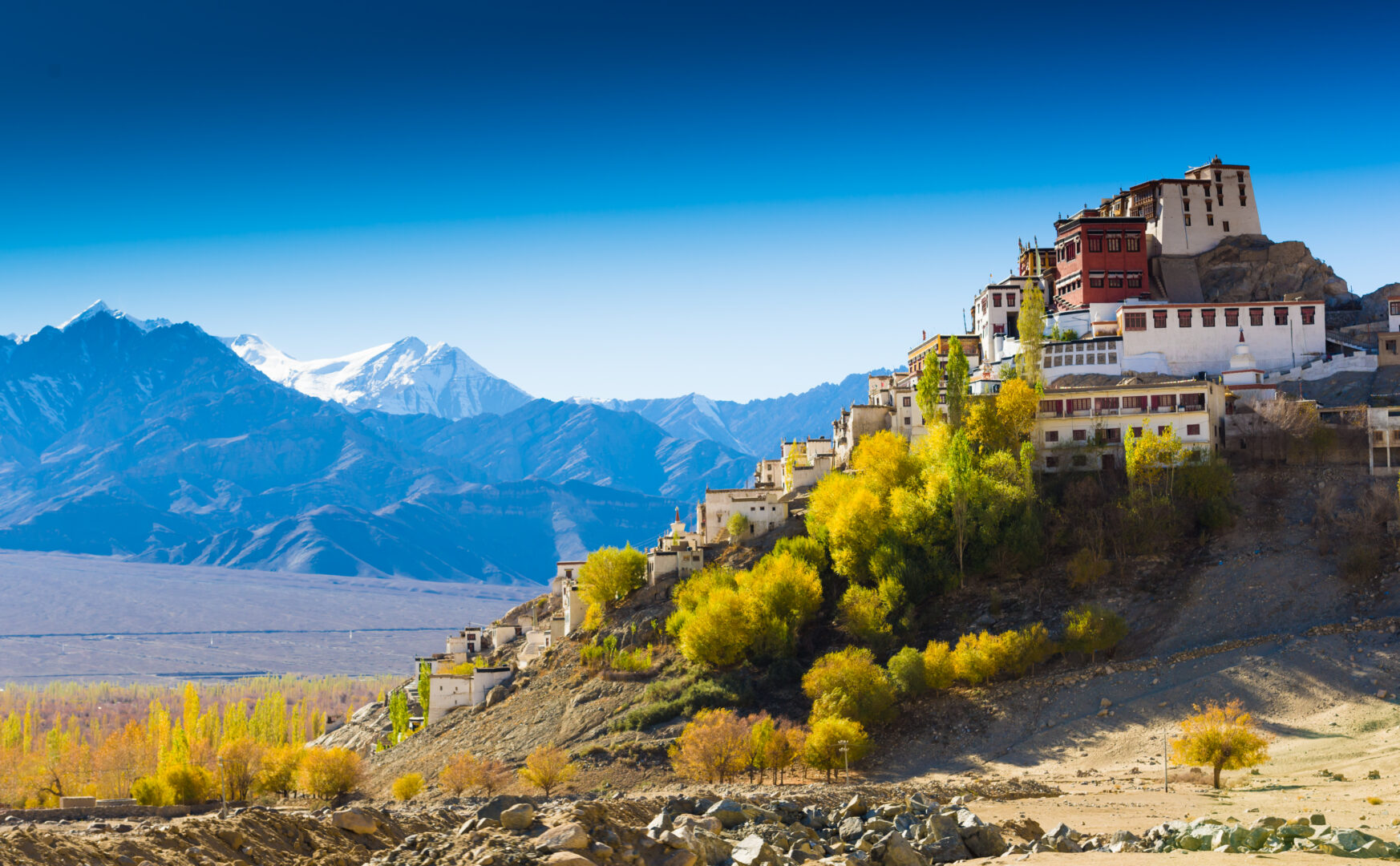 When is the best time to visit India?