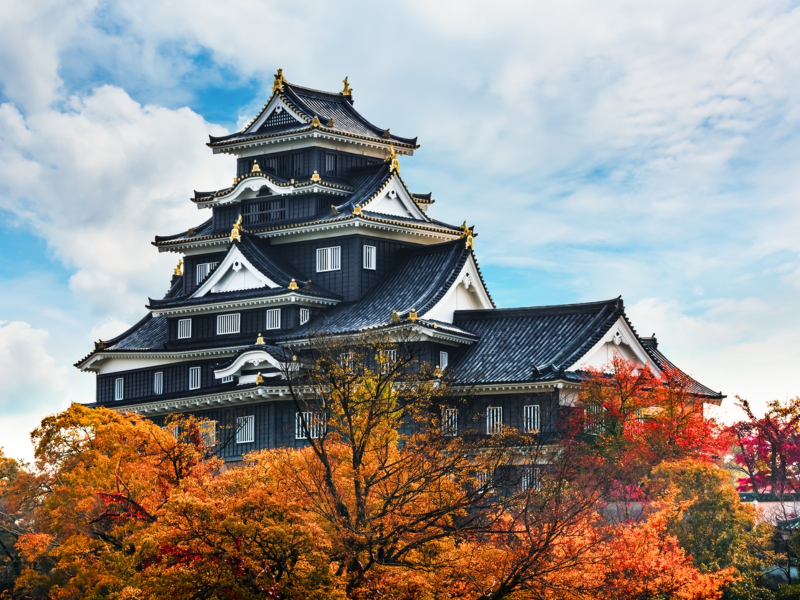 A Japanese Family Adventure
