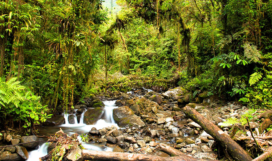 PNG-gallery-landscapeArtboard-4