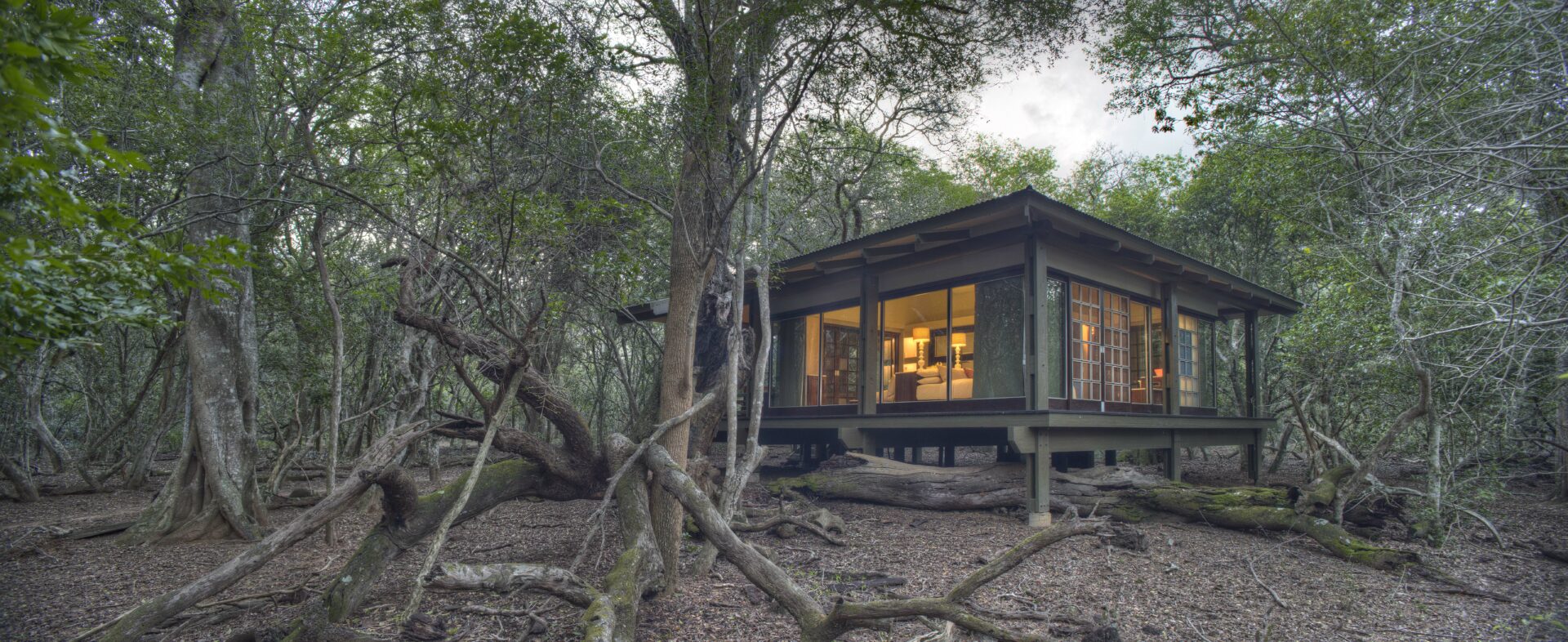 Phinda Forest Lodge, South Africa