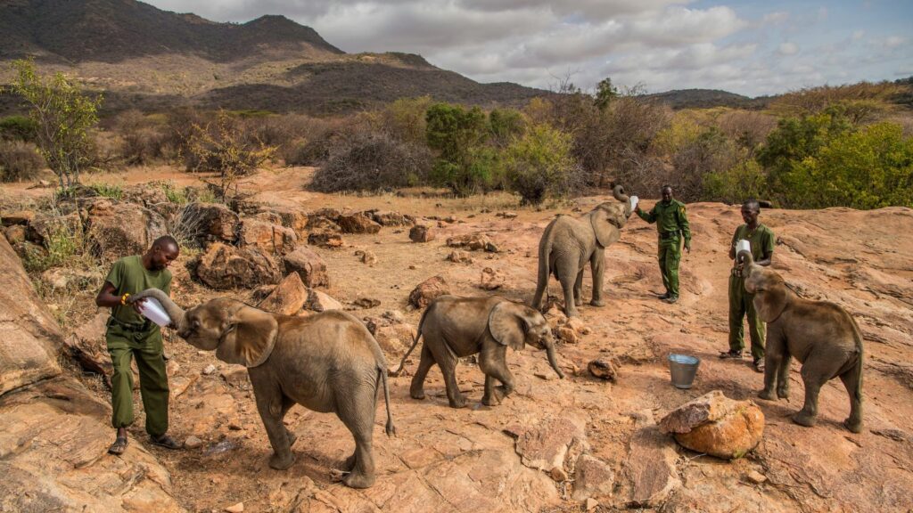 Reteti-Elephany-Sanctury-view-Matthews-Range-Kenya-1024×576-8