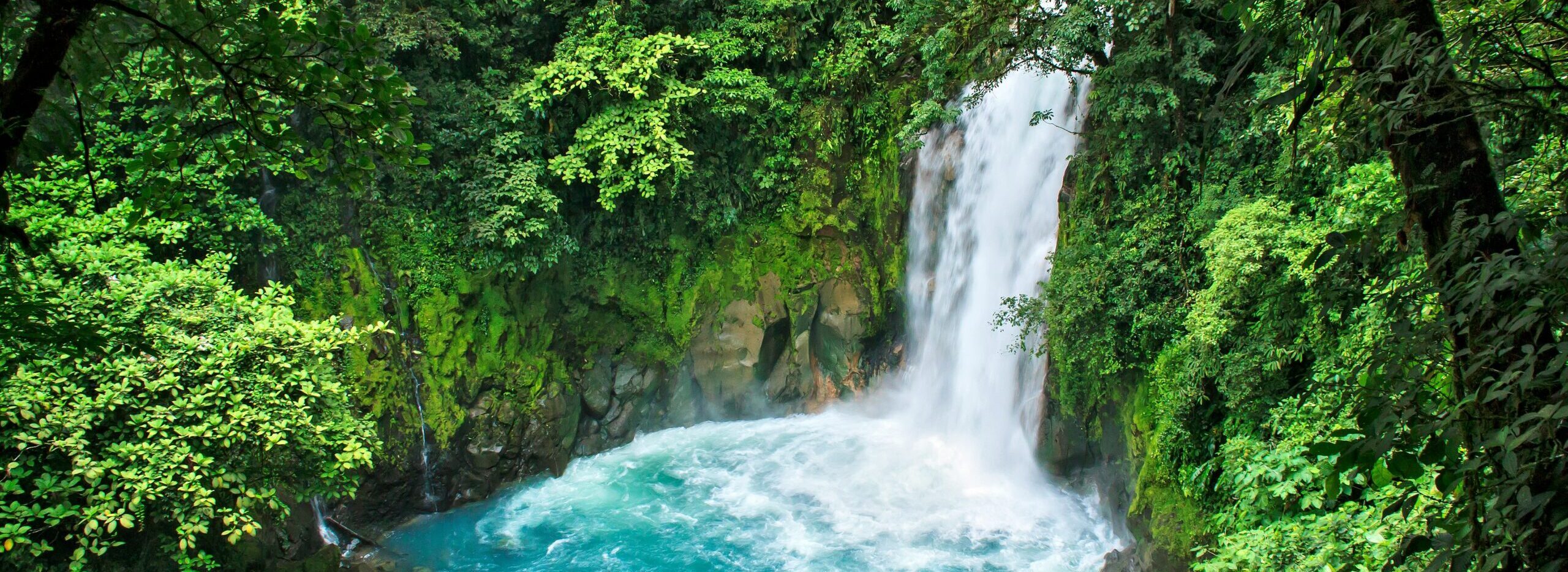 Tenorio National Park