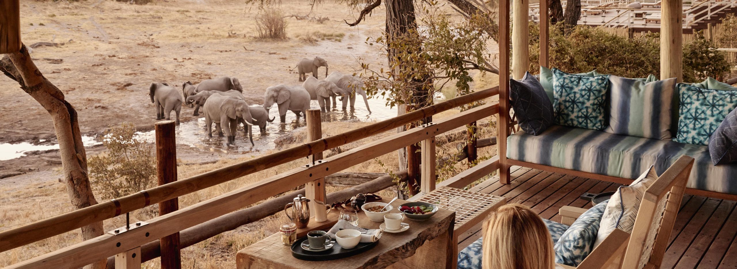 Savute Elephant Lodge