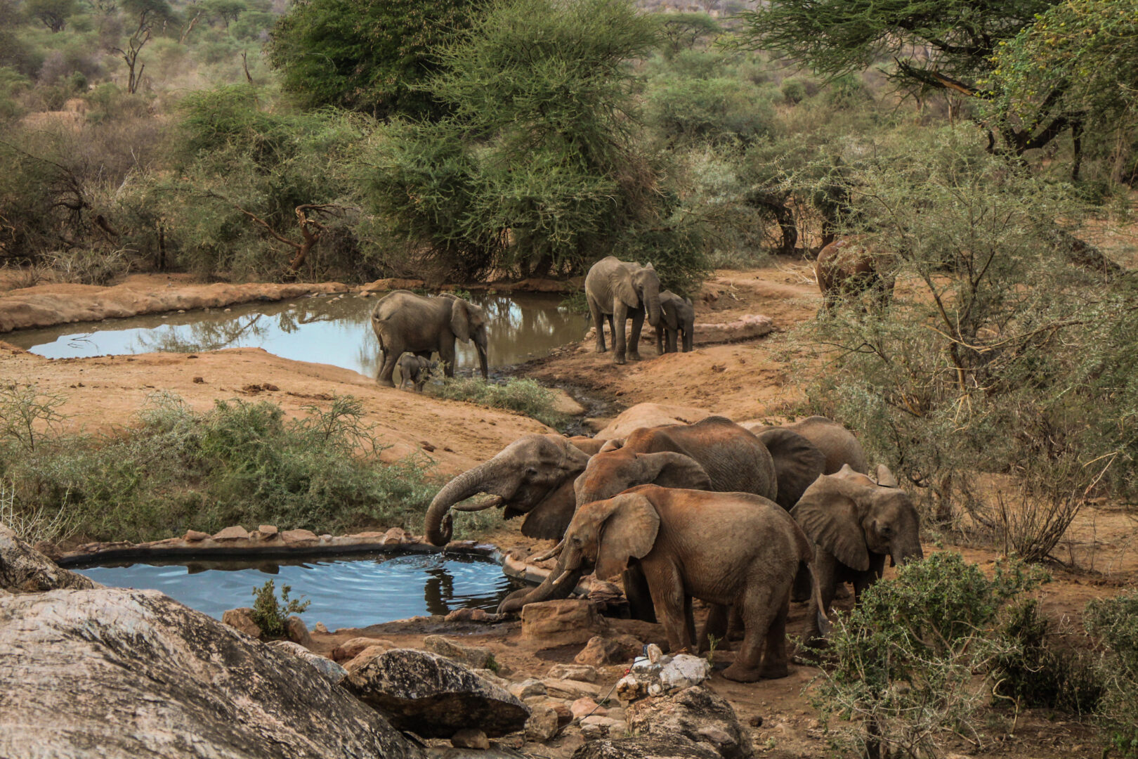 Water hole near Sarara, Kenya