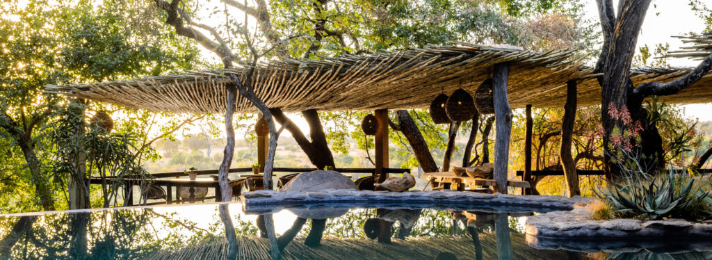 An infinity pool beneath a thatched canopy and trees, with boulders and bushveld beyond.