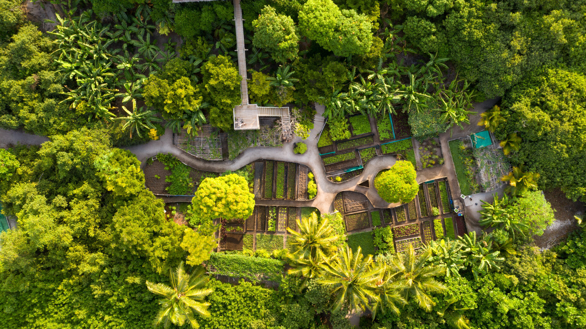 The Organic Gardens at Soneva Fushi, The Maldives