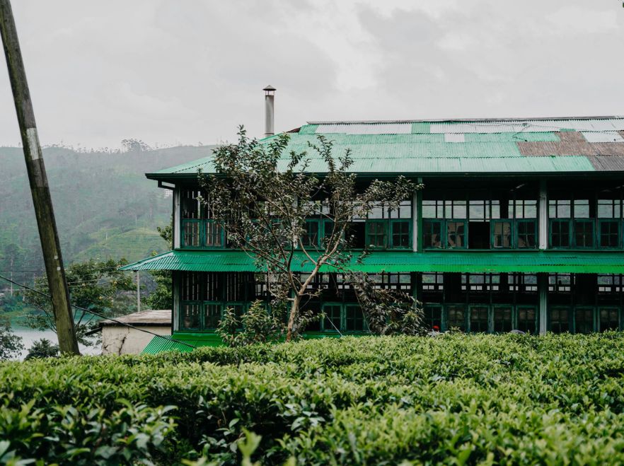 Dunkeld Tea Factory, Ceylon Tea Trails, Hill Country, Sri Lanka