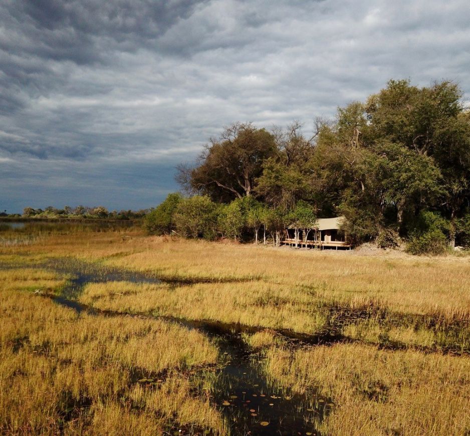 Cha Cha Metsi, Okavango Delta