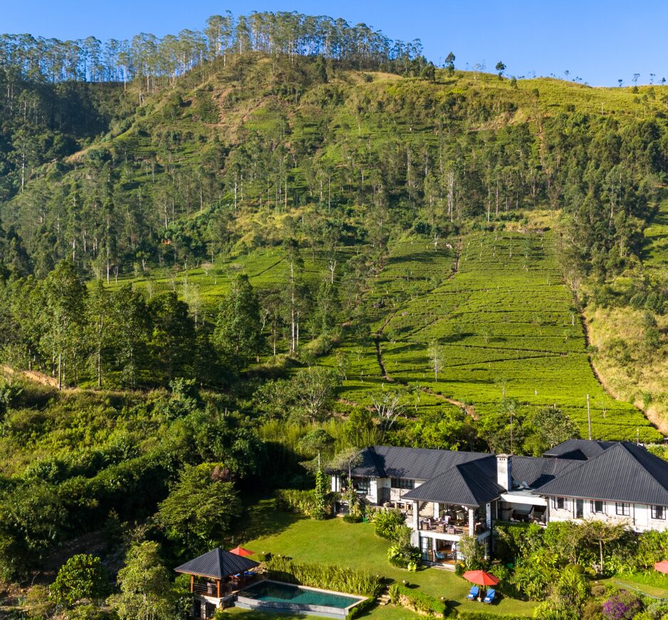 Camellia Hills, Dickoya