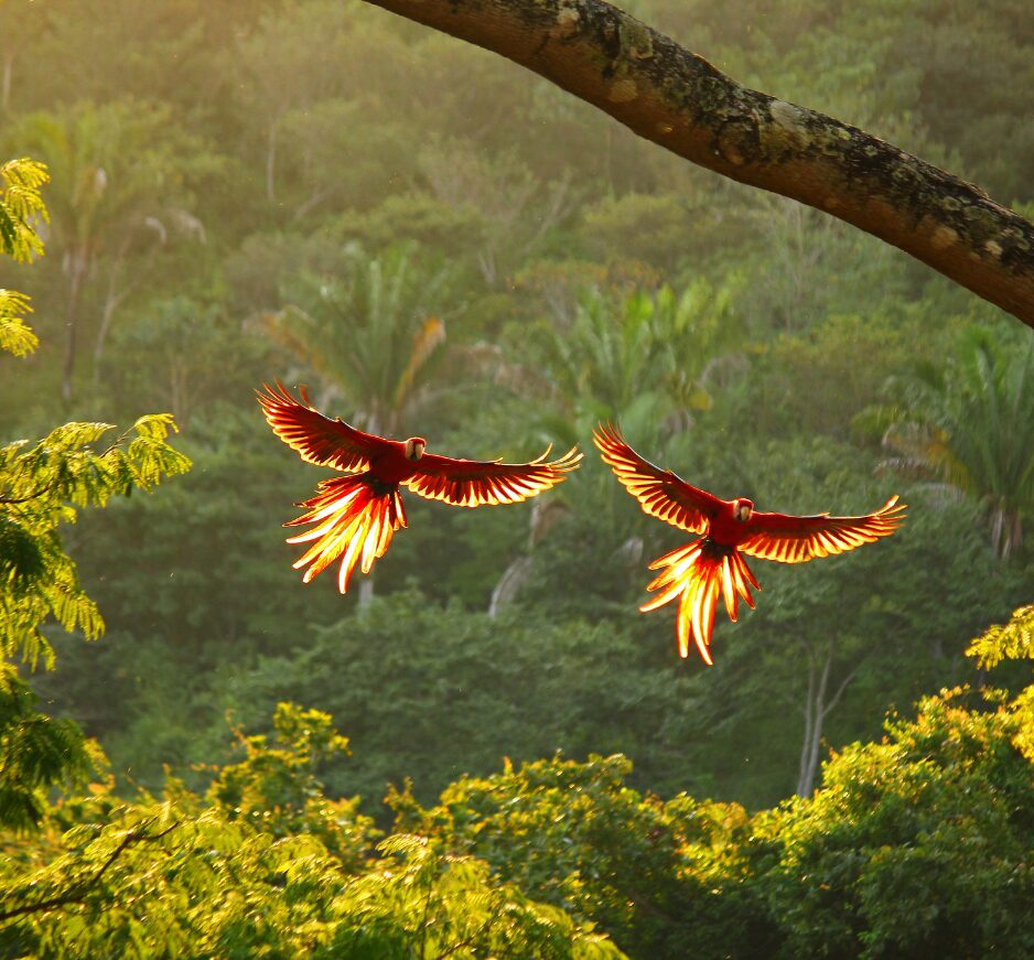 The ultimate 10-day honeymoon in Costa Rica