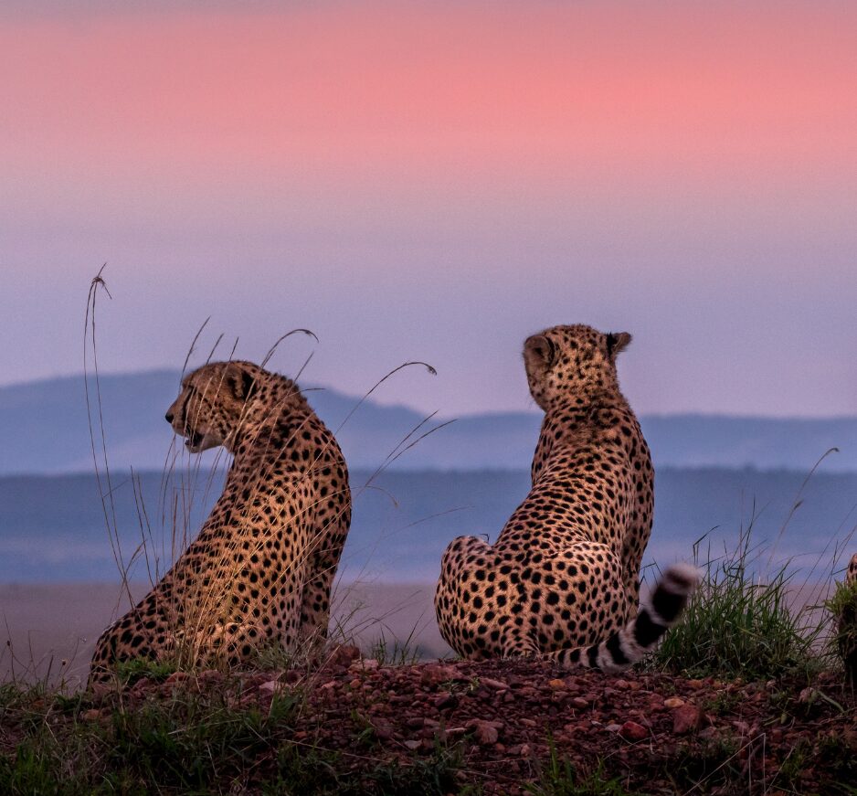 Maasai Mara + Zanzibar: Ultimate Twin Itinerary