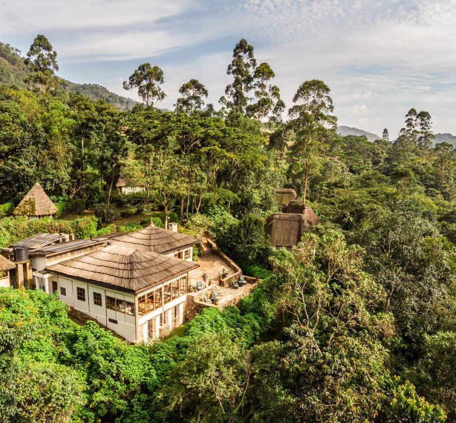 Volcanoes Bwindi Lodge, Bwindi Impenetrable National Park