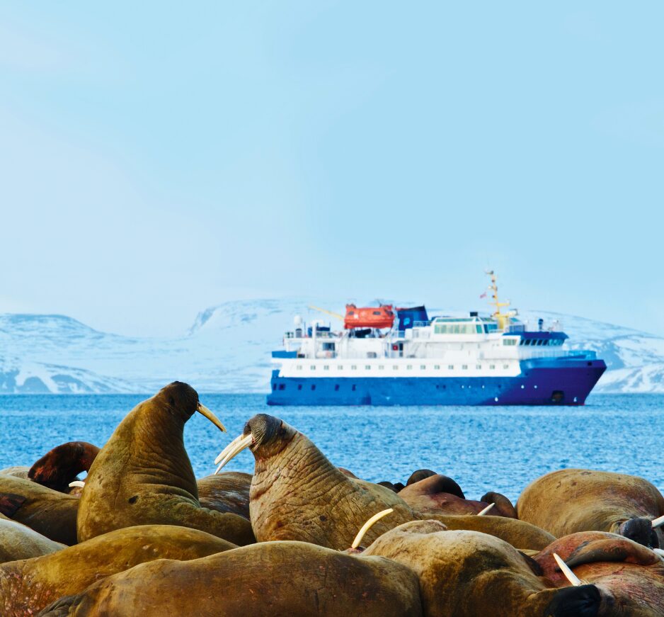 MS Quest, Expedition Ship