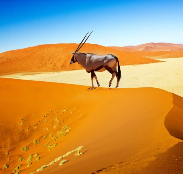 Sossusvlei