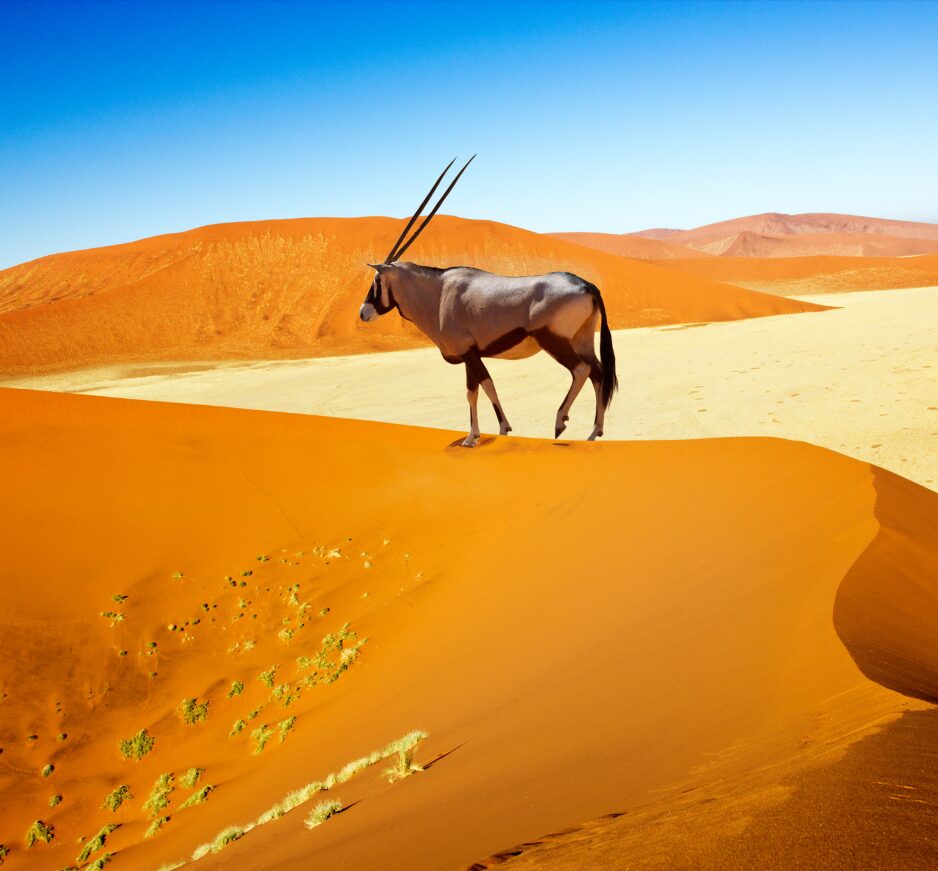 Sossusvlei