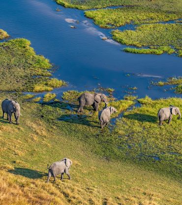 Botswana: Discovering the Okavango Delta