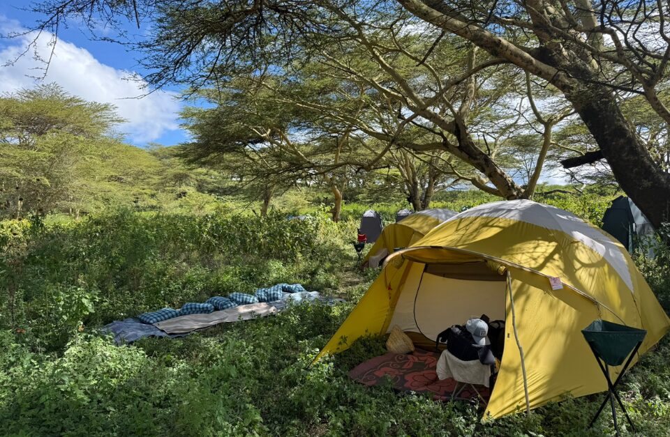 Fly Camps, Northern Tanzania