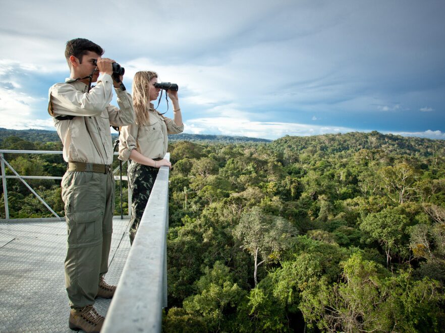 Viewing from the Canopy Tower, Cristalino Lodge, Amazon Brazil