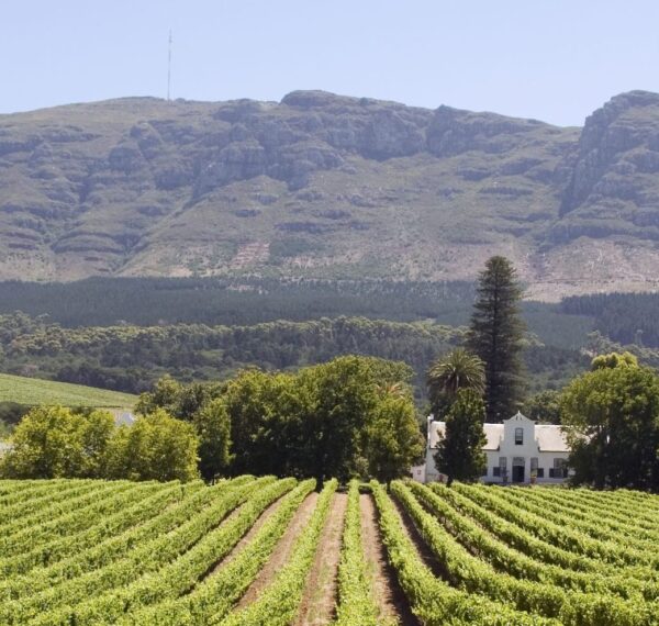The Winelands