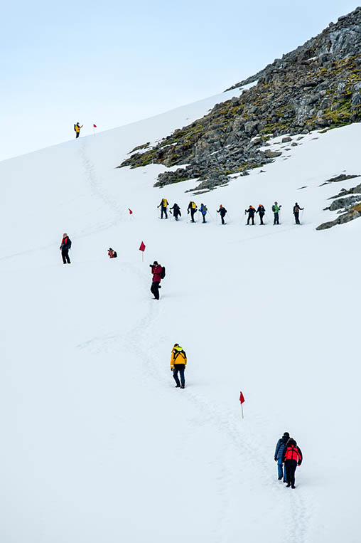 antarctica-gallery-portraitArtboard-2