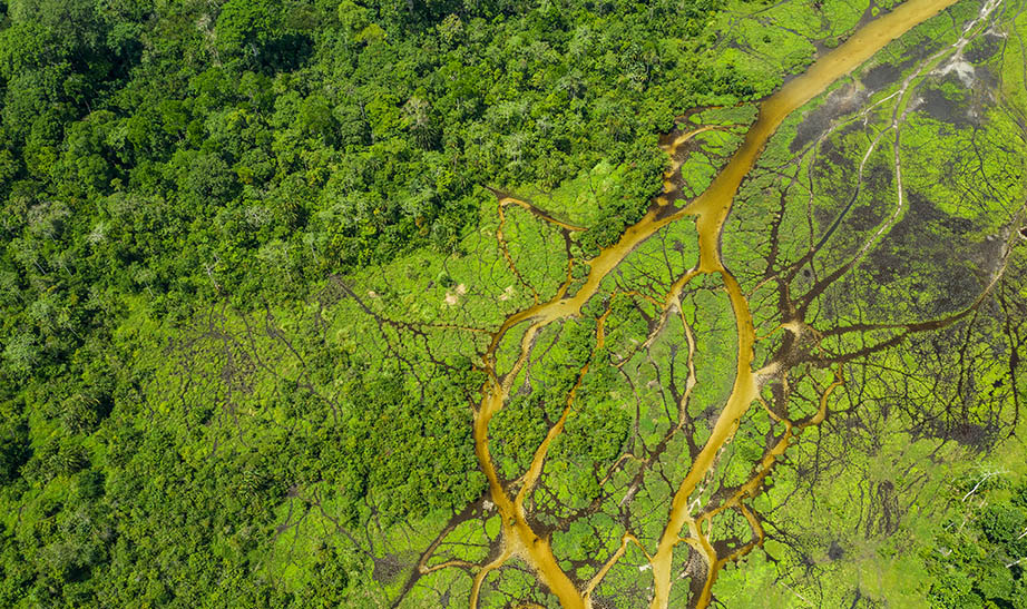 congo-gallery-landscape-Artboard-7