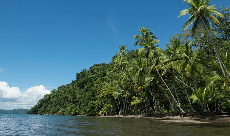 costa-rica-gallery-landscape-Artboard-5