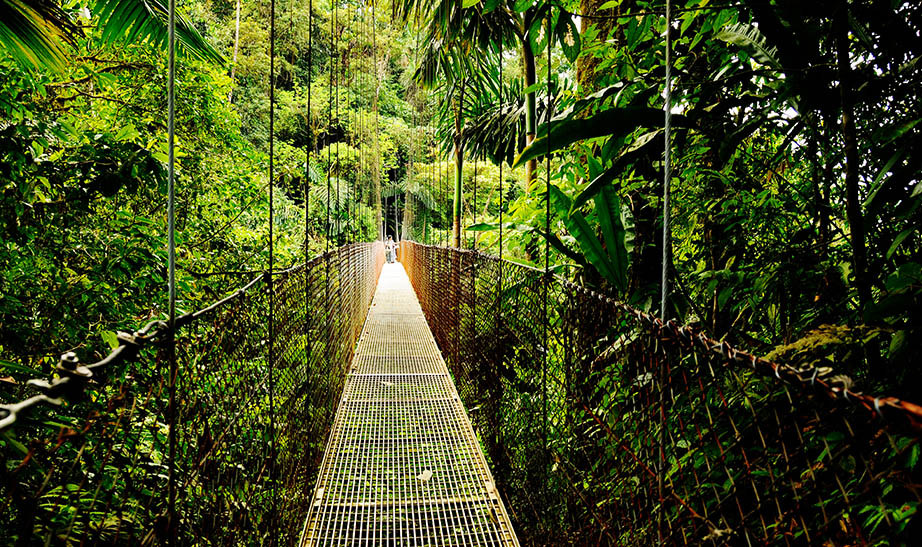costa-rica-gallery-landscape-Artboard-7