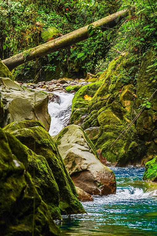costa-rica-gallery-portrait-Artboard-3