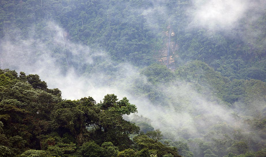 ecuador-gallery-lArtboard-4