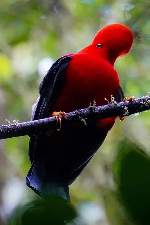 ecuador-galleryArtboard-2-1.jpg