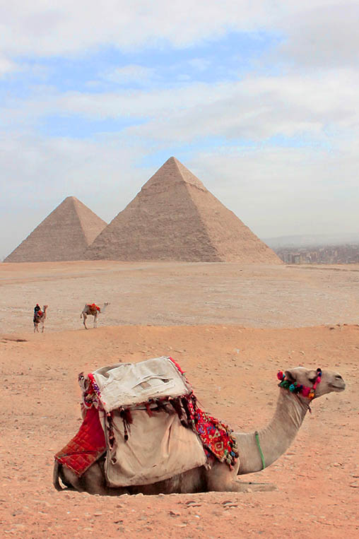 egypt-gallery-portraitArtboard-1