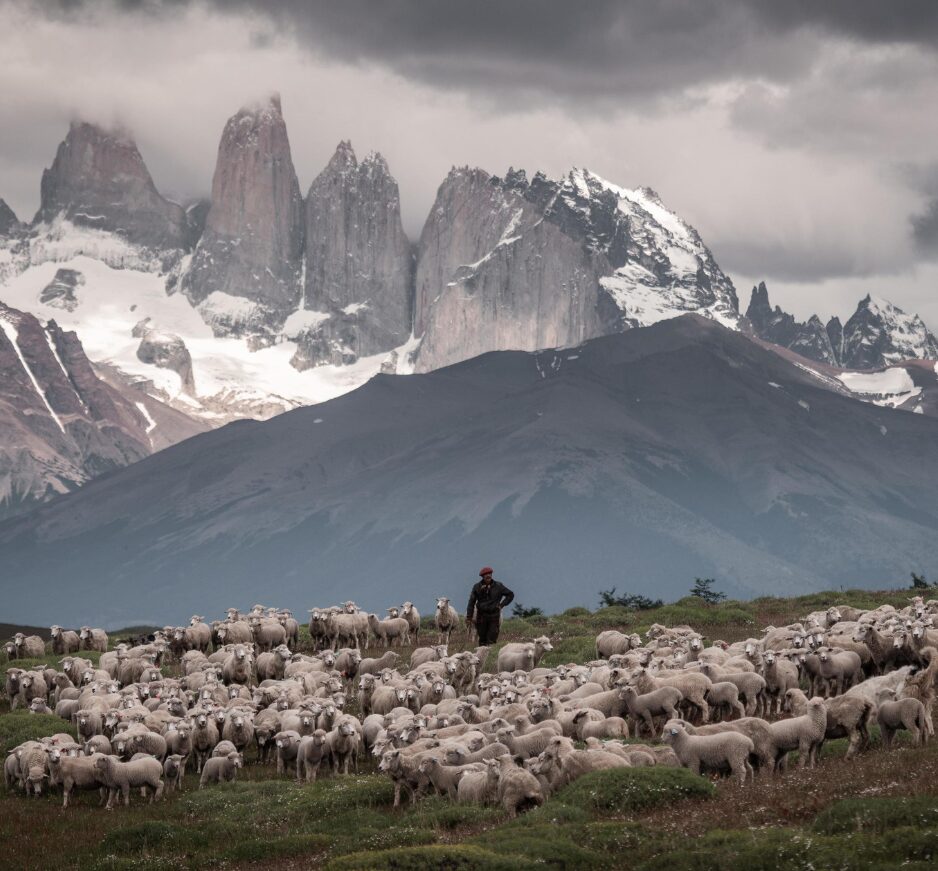 Estancia Cerro Guido, Torres del Paine