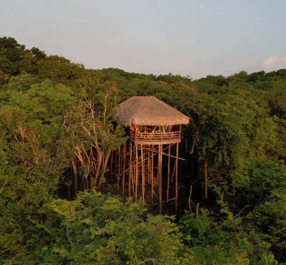 Juma Amazon Lodge, Amazon Rainforest