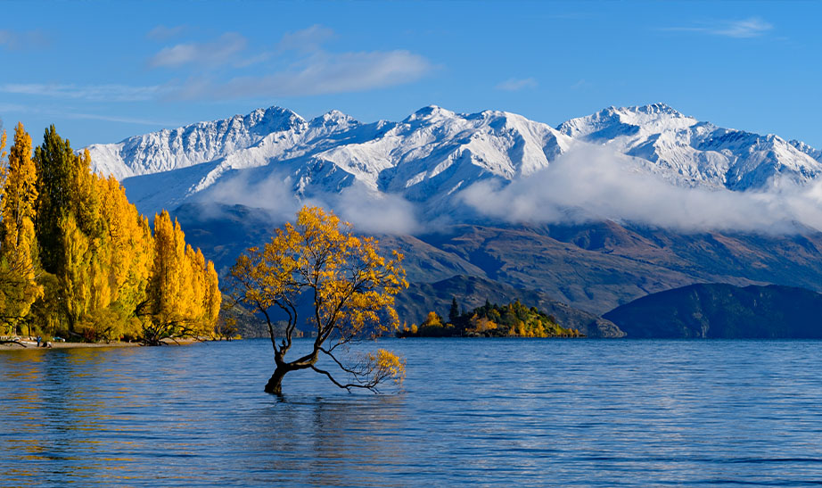gallery-landscapeArtboard-1-4-1