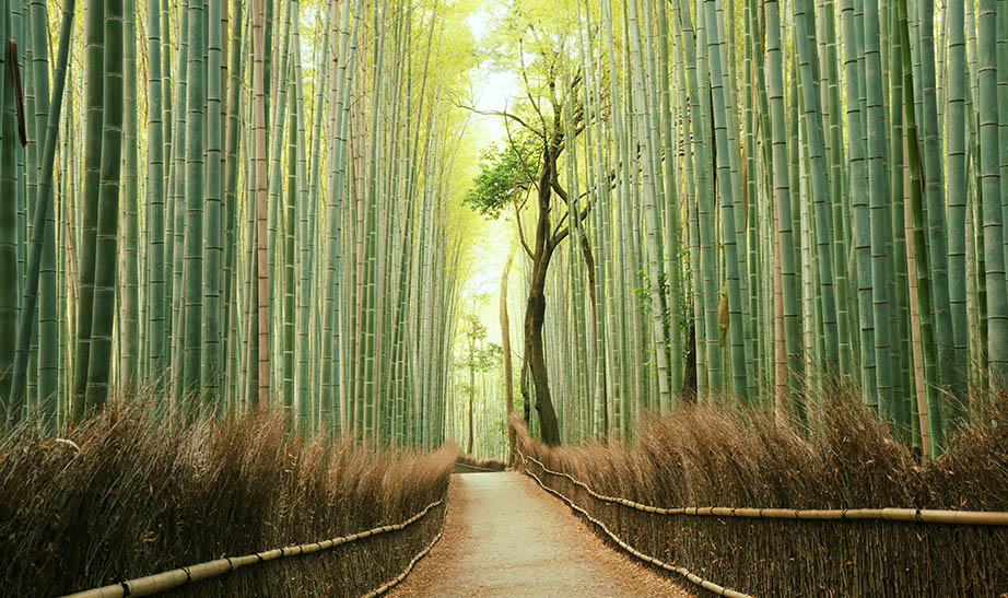 gallery-landscapeArtboard-4-1