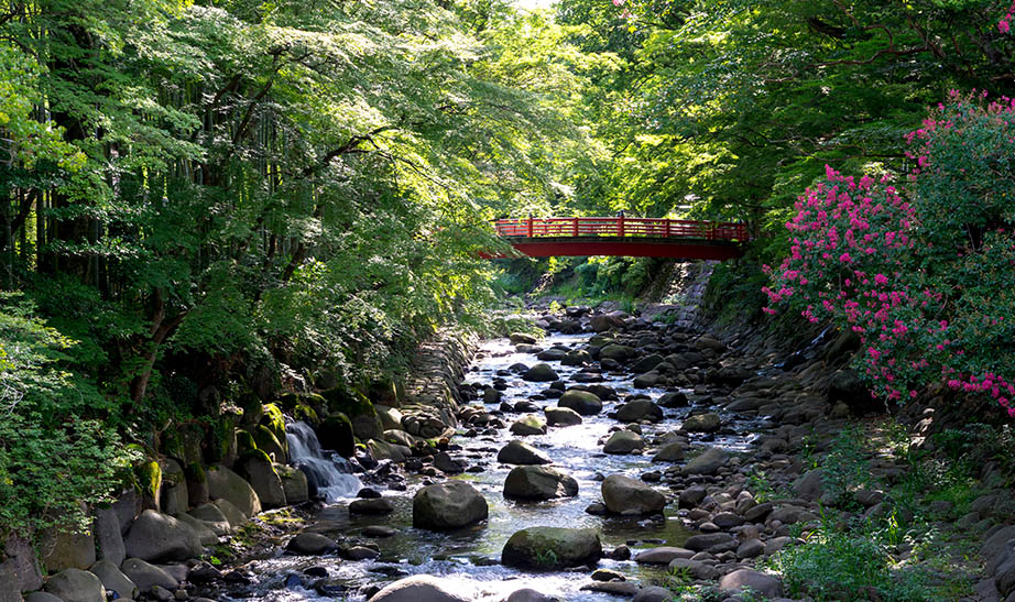 gallery-landscapeArtboard-6-1