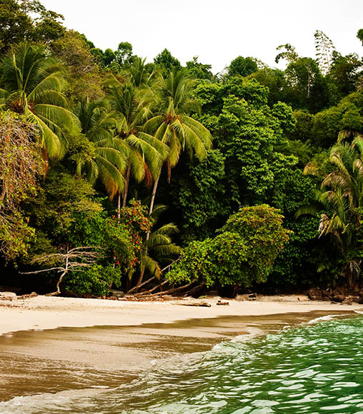 home-costa-rica