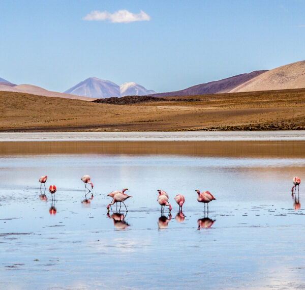 Atacama Desert