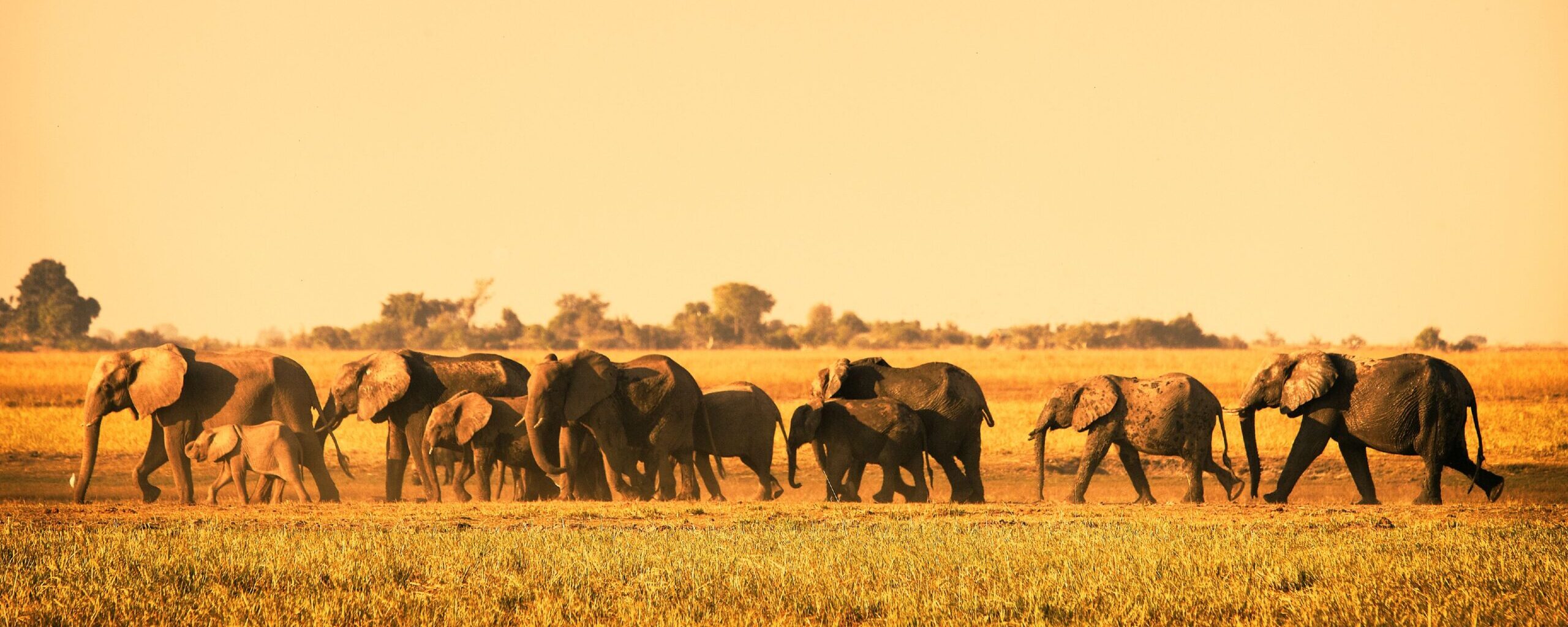 Botswana Family Holiday