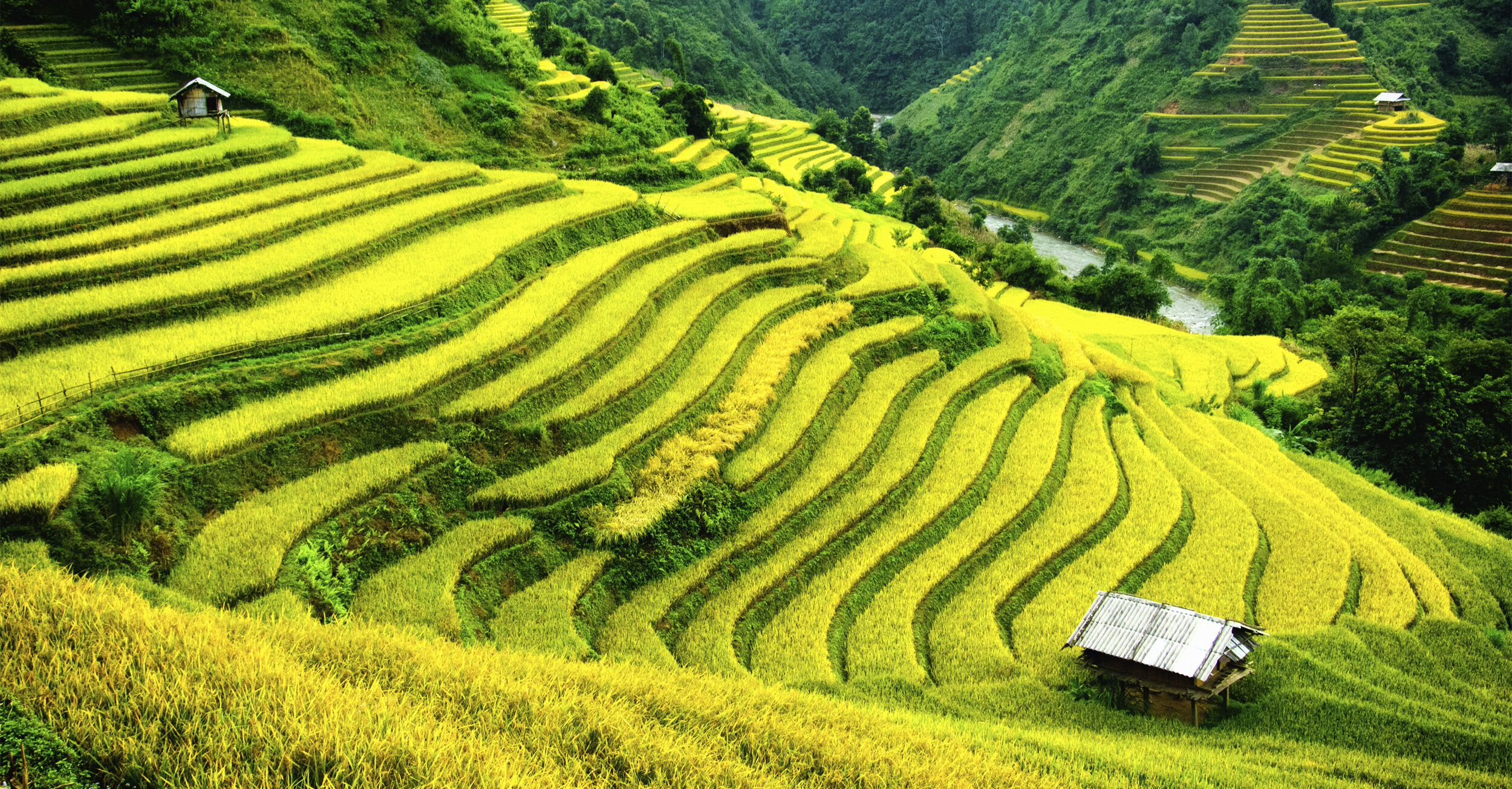 Hoàng Liên National Park
