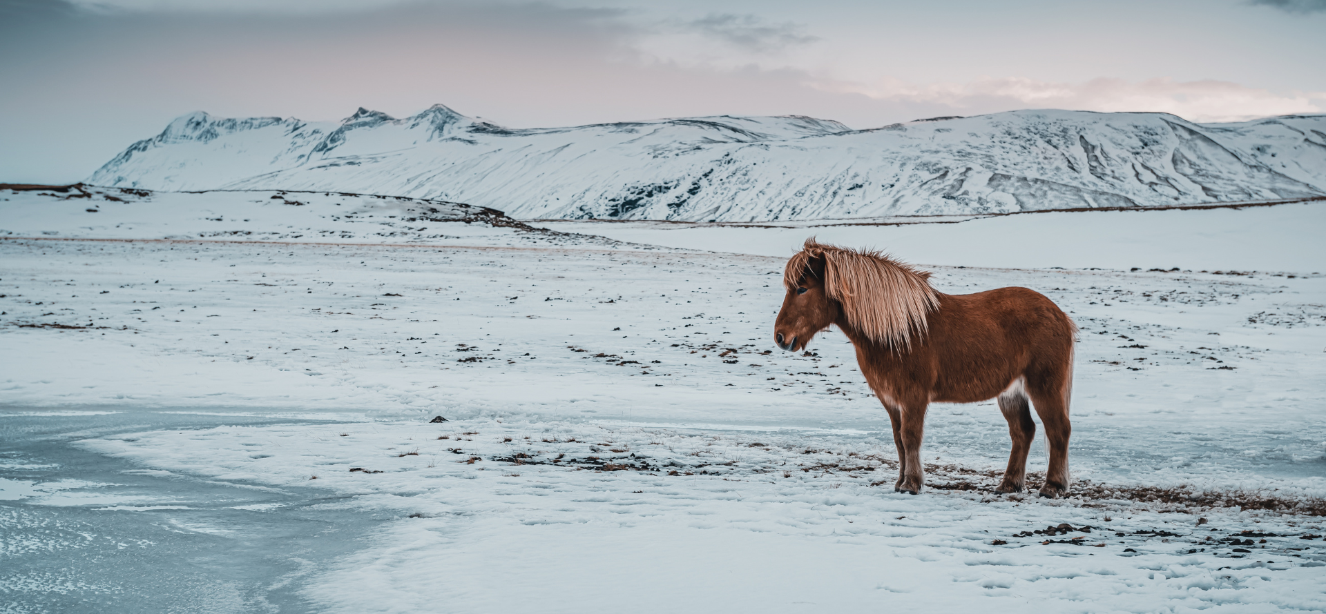 Iceland