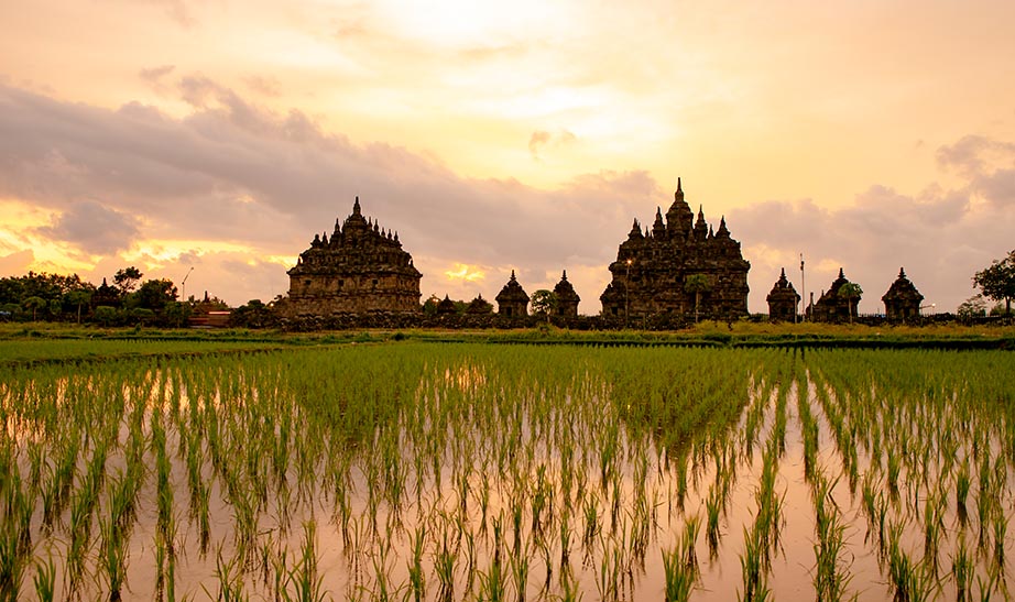 indonesia-gallery-lArtboard-5