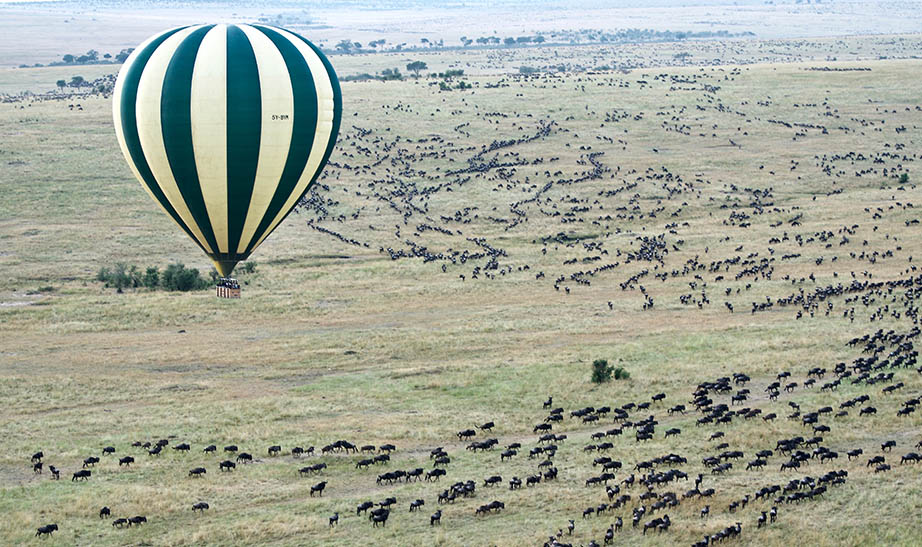 hot air balloon over great migration